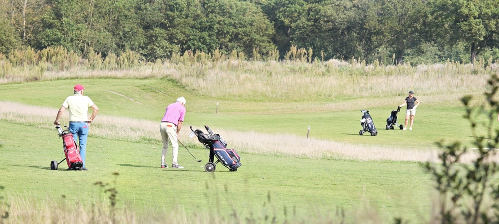 Actieve_golfers